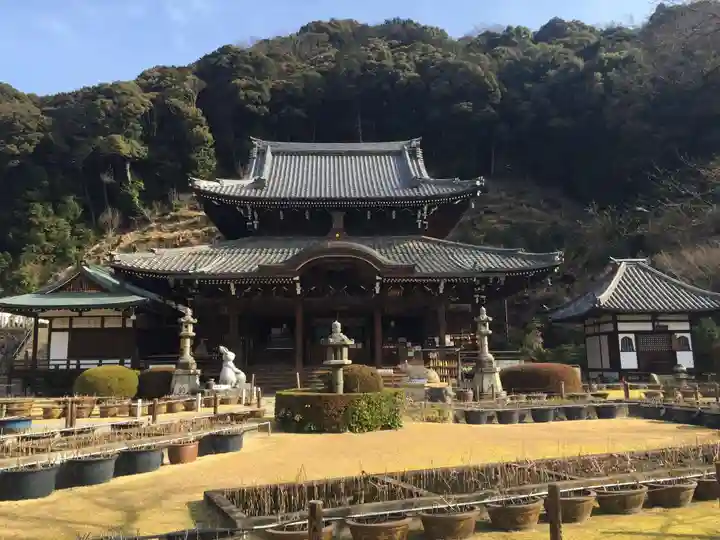 三室戸寺の本殿・本堂