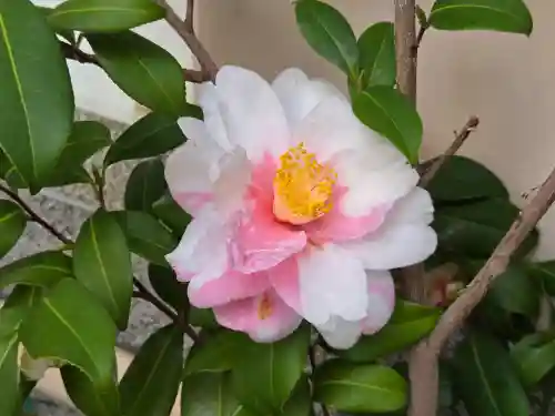 小野八幡神社(兵庫県)