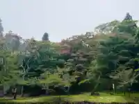 土津神社|こどもと出世の神さま(福島県)