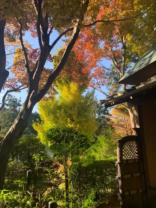 楠妣庵観音寺(大阪府)