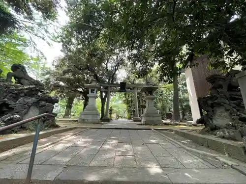 赤坂氷川神社の狛犬