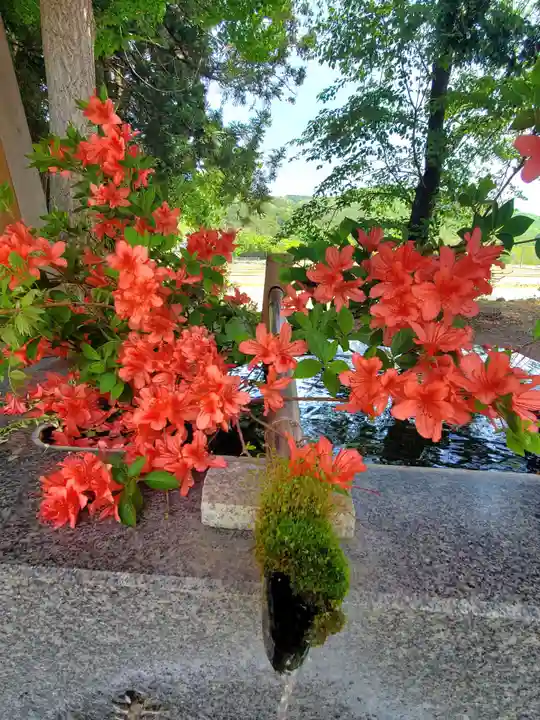 高司神社〜むすびの神の鎮まる社〜(福島県)
