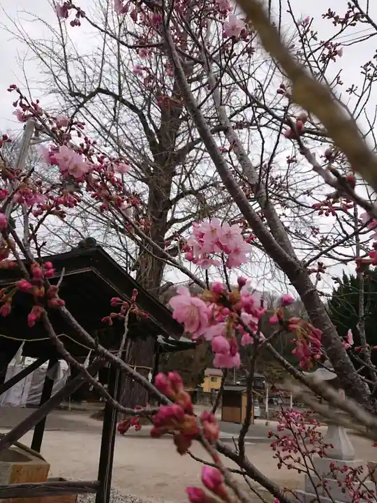 賀羅加波神社の自然