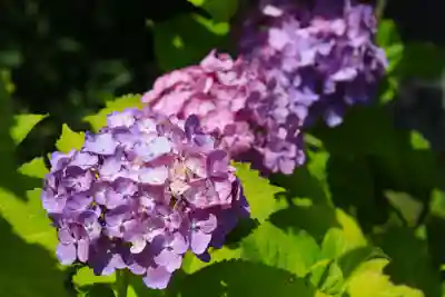  智積院(京都府)
