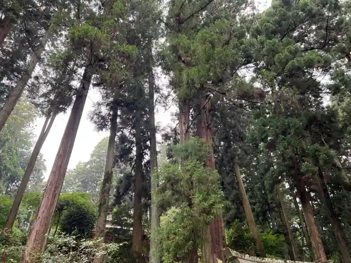 大宮温泉神社(栃木県)