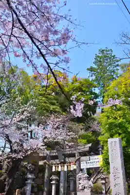 師岡熊野神社(神奈川県)