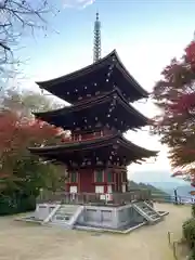 岡寺（龍蓋寺）(奈良県)