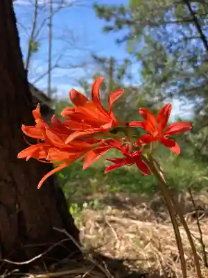 蛟蝄神社門の宮(茨城県)