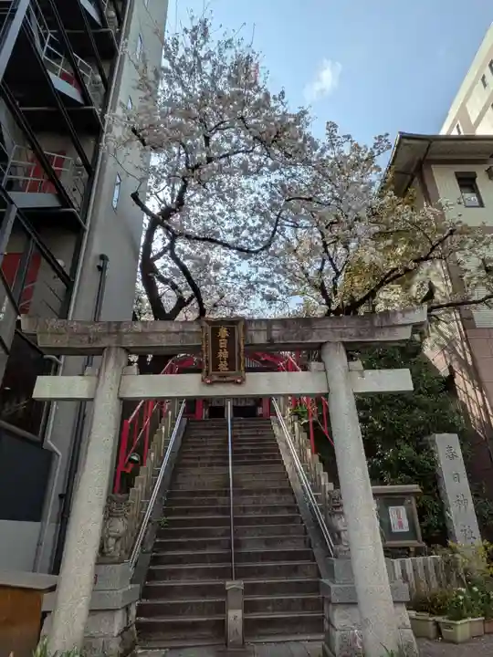 三田春日神社(東京都)