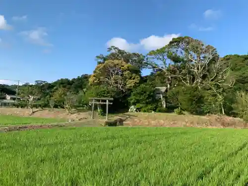 川田神社の鳥居