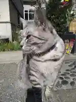 回向院(東京都)