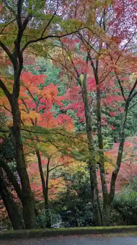 善峯寺(京都府)