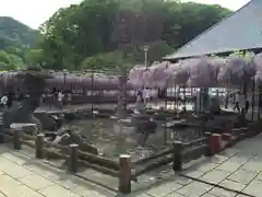 長泉寺の庭園