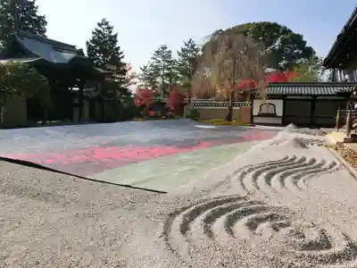 高台寺（高台寿聖禅寺・高臺寺）(京都府)