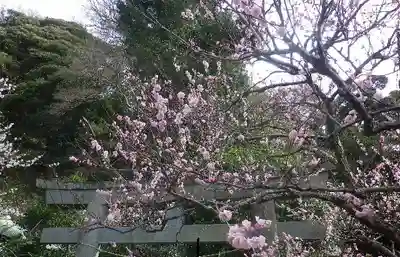 荏柄天神社のその他建物
