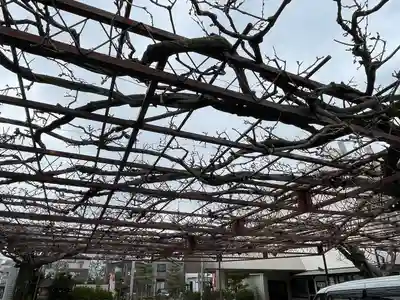 徳王稲荷社・金刀比羅社(愛知県)