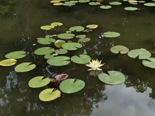 平安神宮(京都府)