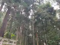 大宮温泉神社(栃木県)