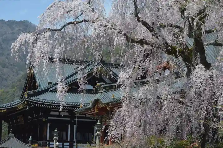 久遠寺(山梨県)