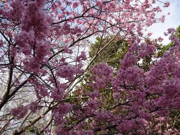 かっぱの寺 栖足寺の自然