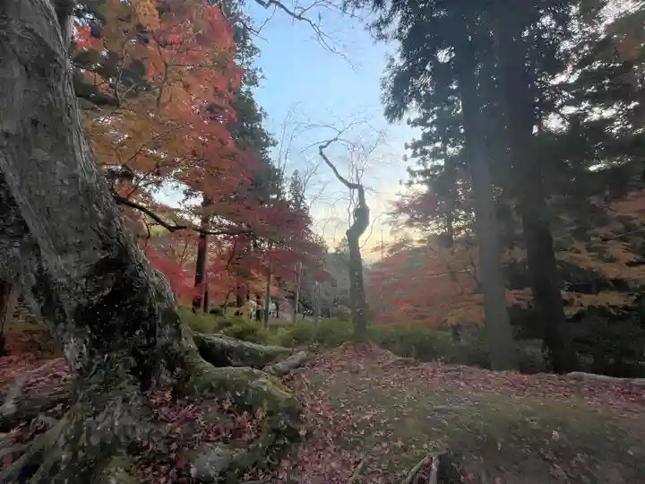 毘沙門堂門跡(京都府)