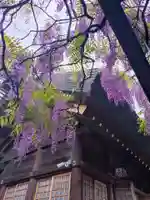 國領神社(東京都)