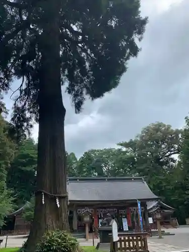 狭野神社のその他建物