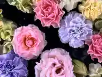 金峯神社(新潟県)