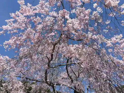 宝泉寺(京都府)