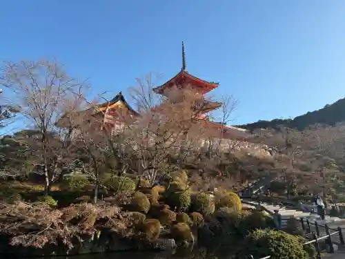 清水寺(京都府)