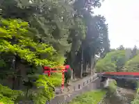 須山浅間神社(静岡県)