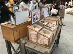 東京大神宮のおみくじ