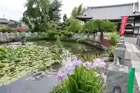 圓照寺(埼玉県)