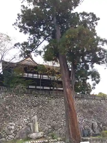 関善光寺(岐阜県)