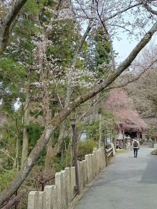 正法寺(滋賀県)