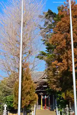 中山杉山神社(神奈川県)