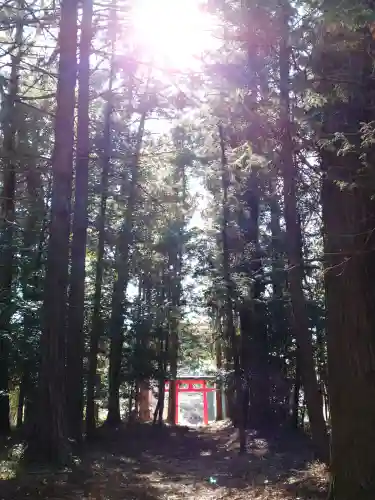 八宮神社（和泉）の{uncategorized: "未分類", other: "その他", undefined: "問題あり", building: "その他建物", grave: "お墓", sacred_gate: "鳥居", guardian: "狛犬", statue: "像", buddha: "仏像", history: "歴史", nature: "自然", garden: "庭園", animal: "動物", pagoda: "塔", temizu: "手水舎", mountain_gate: "山門・神門", sanctuary: "本殿・本堂", subordinate: "末社・摂社", art: "芸術", scenery: "景色", jizo: "地蔵", ema: "絵馬", goshuin: "御朱印", omikuji: "おみくじ", items: "授与品その他", amulet: "お守り", goshuincho: "御朱印帳", eats: "食事", festival: "お祭り", votive_dance: "神楽", shichigosan: "七五三参", wedding: "結婚式", experience: "体験その他", initially: "初詣", around: "周辺", anti_infection: "感染症対策"}