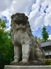 玉姫稲荷神社の狛犬