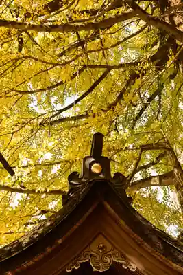 正法寺(滋賀県)