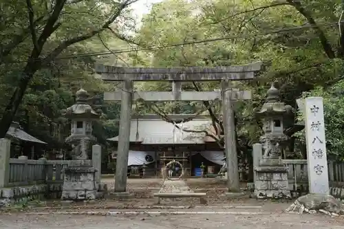 下野 星宮神社の鳥居