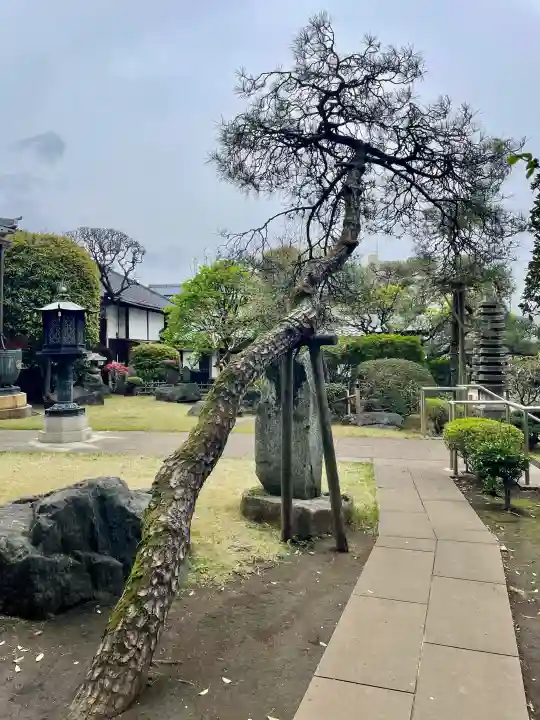 東光寺の{uncategorized: "未分類", other: "その他", undefined: "問題あり", building: "その他建物", grave: "お墓", sacred_gate: "鳥居", guardian: "狛犬", statue: "像", buddha: "仏像", history: "歴史", nature: "自然", garden: "庭園", animal: "動物", pagoda: "塔", temizu: "手水舎", mountain_gate: "山門・神門", sanctuary: "本殿・本堂", subordinate: "末社・摂社", art: "芸術", scenery: "景色", jizo: "地蔵", ema: "絵馬", goshuin: "御朱印", omikuji: "おみくじ", items: "授与品その他", amulet: "お守り", goshuincho: "御朱印帳", eats: "食事", festival: "お祭り", votive_dance: "神楽", shichigosan: "七五三参", wedding: "結婚式", experience: "体験その他", initially: "初詣", around: "周辺", anti_infection: "感染症対策"}
