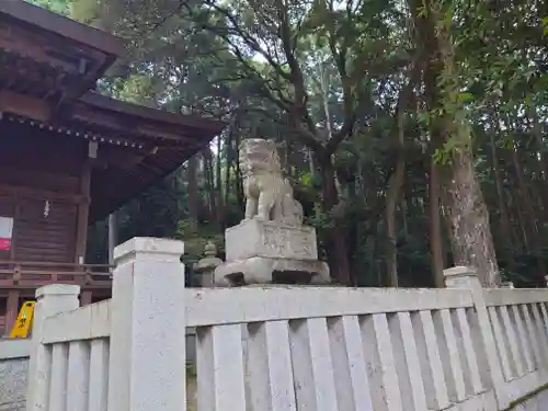 須賀神社の狛犬