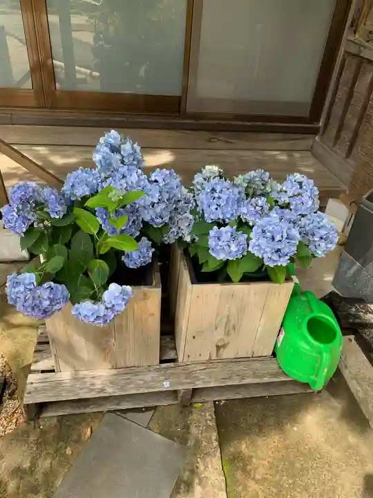 少林寺(埼玉県)