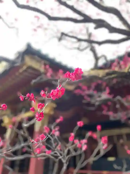 根津神社(東京都)