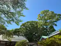 柴崎神社(千葉県)