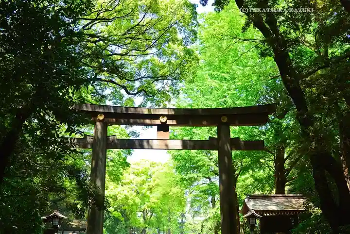 明治神宮(東京都)