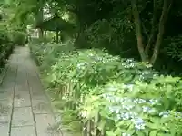 安國論寺(安国論寺)の自然