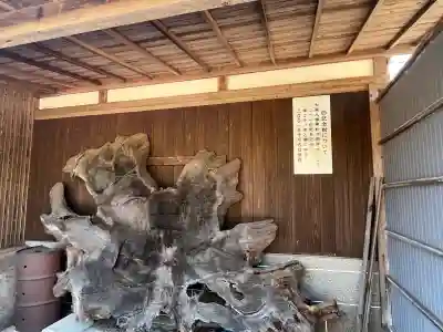 大森八幡神社の{uncategorized: "未分類", other: "その他", undefined: "問題あり", building: "その他建物", grave: "お墓", sacred_gate: "鳥居", guardian: "狛犬", statue: "像", buddha: "仏像", history: "歴史", nature: "自然", garden: "庭園", animal: "動物", pagoda: "塔", temizu: "手水舎", mountain_gate: "山門・神門", sanctuary: "本殿・本堂", subordinate: "末社・摂社", art: "芸術", scenery: "景色", jizo: "地蔵", ema: "絵馬", goshuin: "御朱印", omikuji: "おみくじ", items: "授与品その他", amulet: "お守り", goshuincho: "御朱印帳", eats: "食事", festival: "お祭り", votive_dance: "神楽", shichigosan: "七五三参", wedding: "結婚式", experience: "体験その他", initially: "初詣", around: "周辺", anti_infection: "感染症対策"}