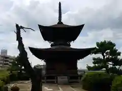 大樹寺（松安院大樹寺）(愛知県)