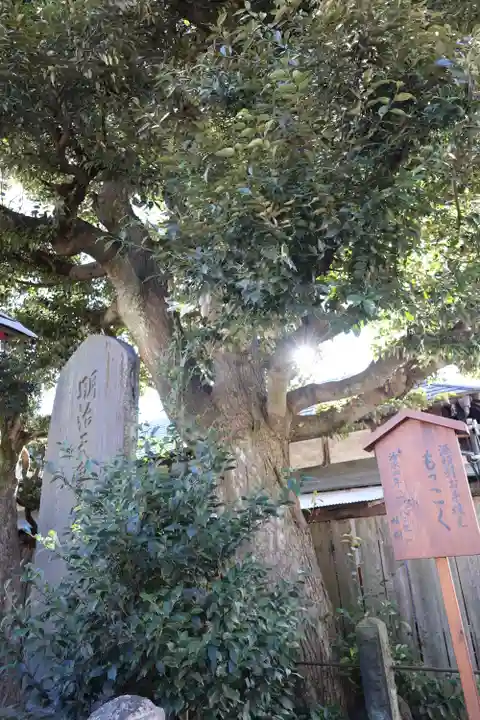 鷲宮神社(埼玉県)